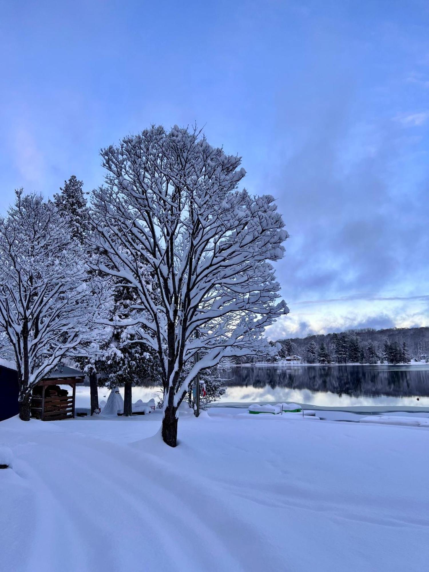 Bonnie View Inn Haliburton Eksteriør bilde